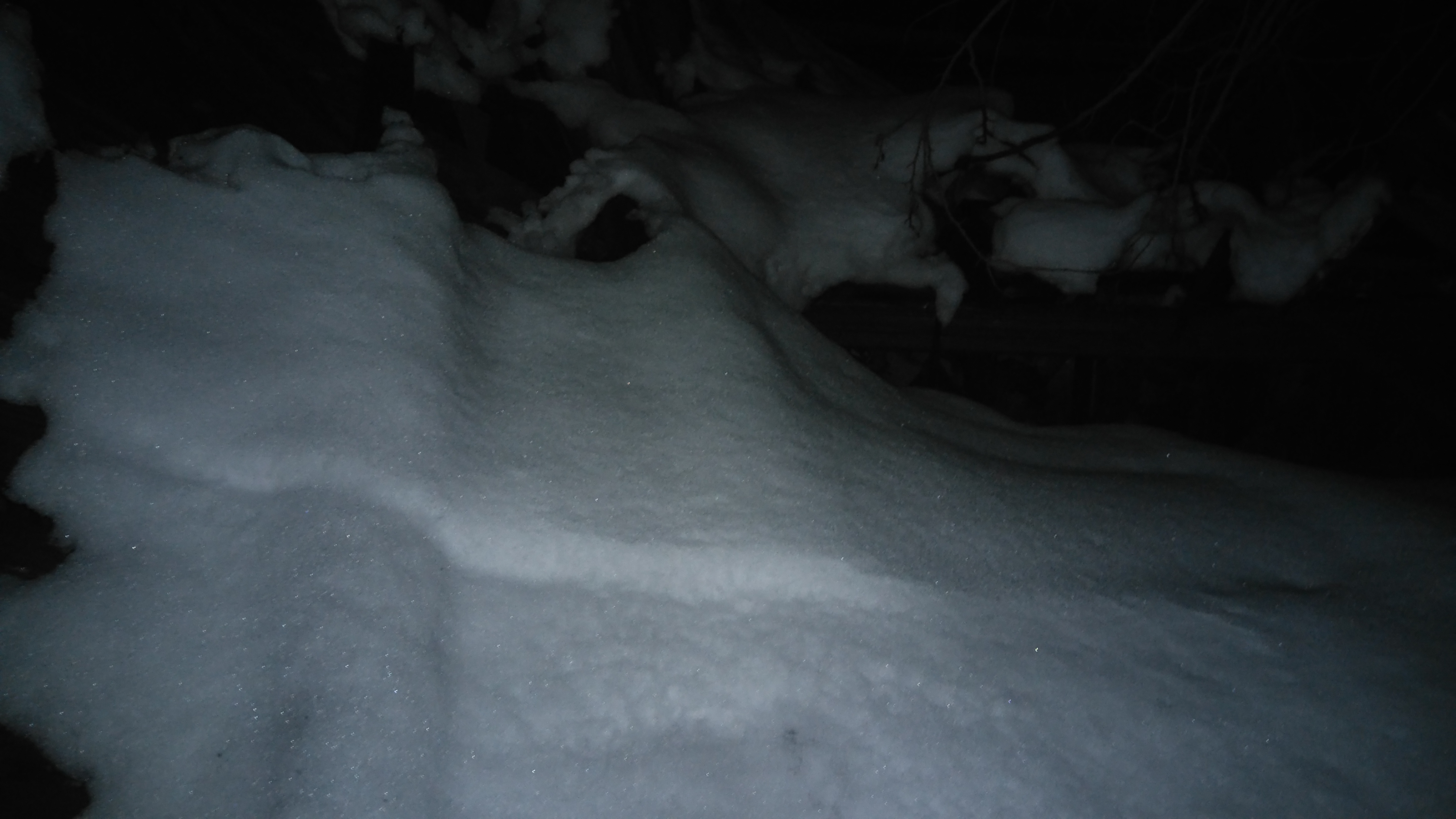 «Τεράστιες ζημιές» ο απολογισμός του χιονιά στα Ψαχνά.Μέχρι και σκεπή σπιτιού κατέρρευσε ! DSC 1182