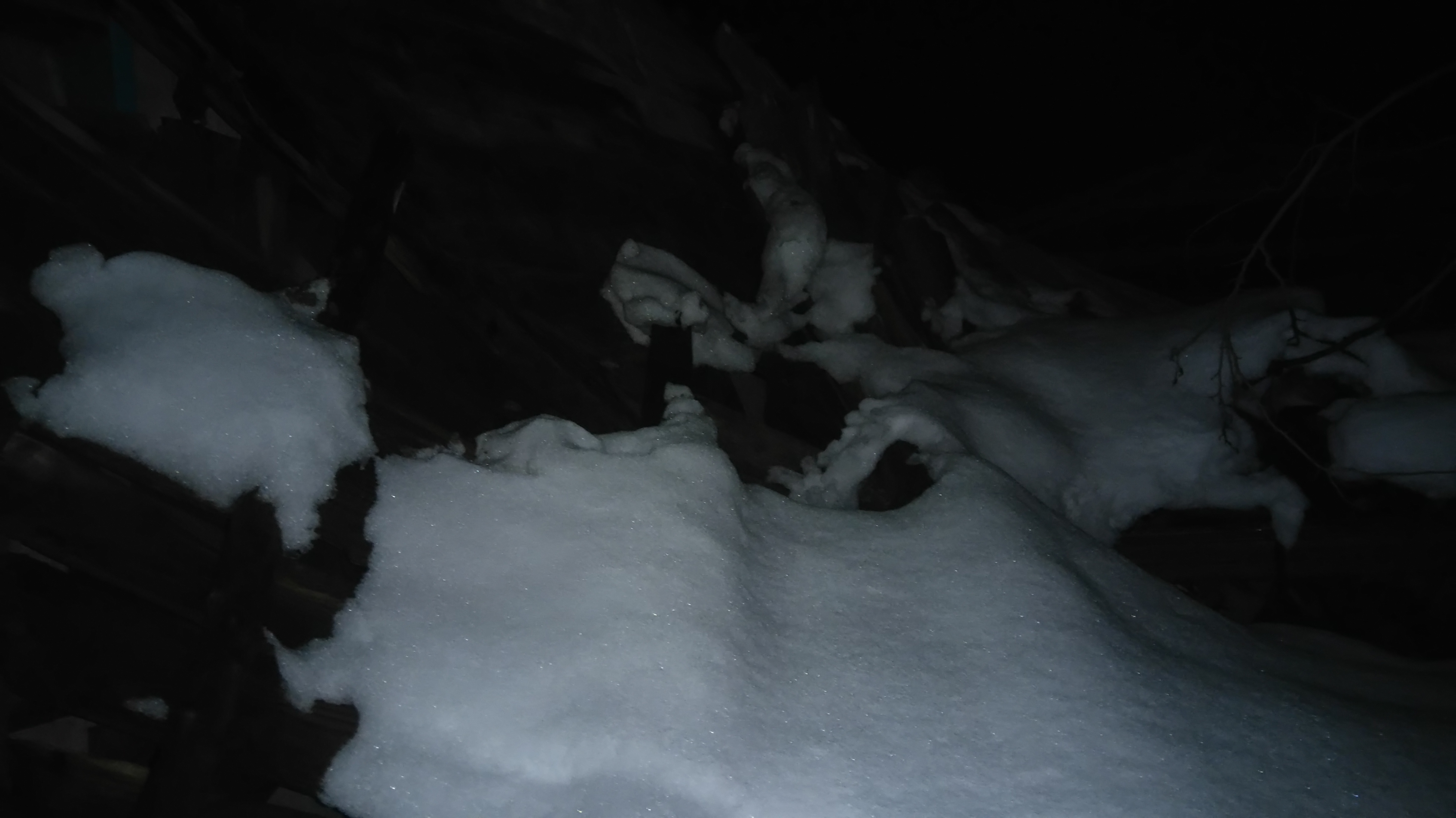 «Τεράστιες ζημιές» ο απολογισμός του χιονιά στα Ψαχνά.Μέχρι και σκεπή σπιτιού κατέρρευσε ! DSC 1186