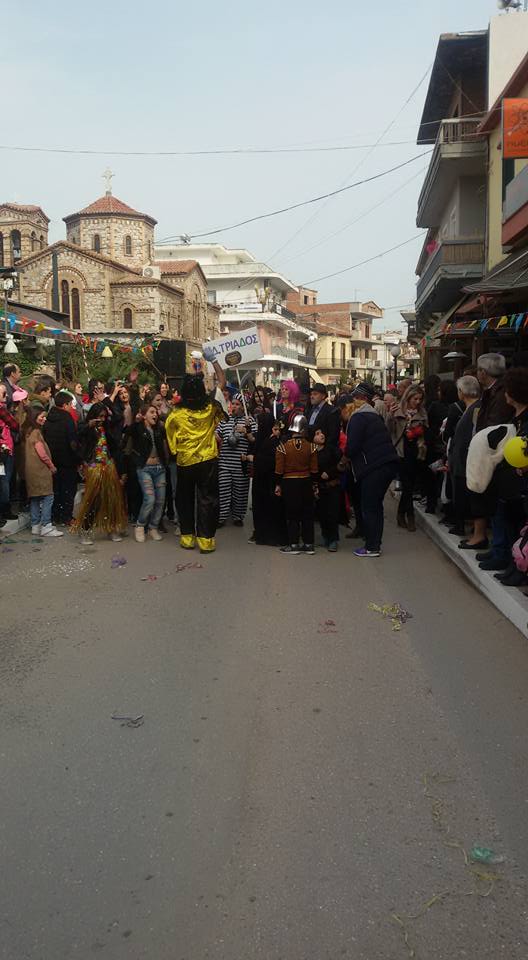 Καρναβάλι 2017 στα Ψαχνά (φωτογραφίες-video) 972336 1361824703860926 3564384701516481935 n