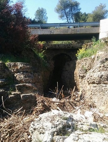 Καθαρισμός του ιστορικού γεφυριού στο Παραγάλι της Τριάδας από τον Δήμο Διρφύων Μεσσαπίων 17690663 1327281314018781 79116889 n