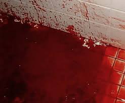 ΑΥΤΟΚΤΟΝΙΑ 25ΧΡΟΝΟΥ ΣΤΗΝ ΚΑΡΥΣΤΟ