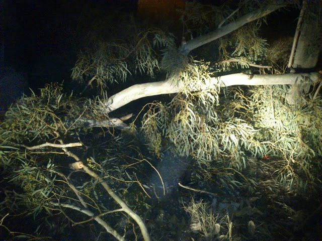 ΑΓΝΩΣΤΟΙ ΕΚΛΕΙΣΑΝ ΤΟ ΔΡΟΜΟ  ΠΟΥ ΟΔΗΓΕΙ ΣΕ ΚΑΛΟΚΑΙΡΙΝΟ ΚΛΑΜΠ ΤΩΝ ΨΑΧΝΩΝ ΜΕ ΚΛΑΡΙΑ