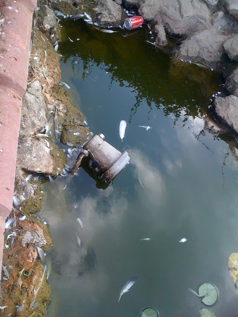 ΠΑΡΑΤΗΜΕΝΟ ΕΝΑ ΑΠΟ ΤΑ ΟΜΟΡΦΟΤΕΡΑ ΕΡΓΑ ΤΗΣ ΠΛΑΤΕΙΑΣ ΨΑΧΝΩΝ