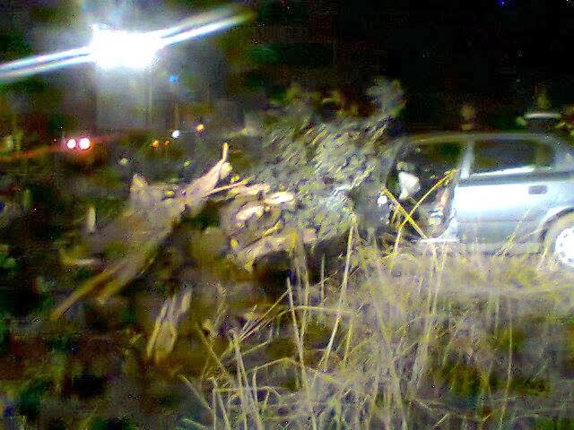 ΝΕΩΤΕΡΕΣ ΠΛΗΡΟΦΟΡΙΕΣ ΑΠΟ ΤΟ ΔΥΣΤΥΧΗΜΑ