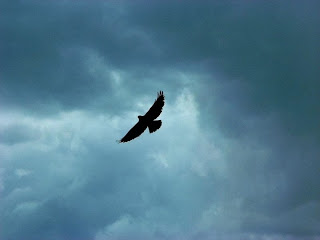 ΚΑΛΟ ΤΑΞΙΔΙ ΒΑΓΓΕΛΗ