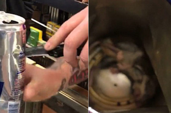 Άντρας άνοιξε ένα κουτάκι Red Bull και βρήκε μέσα πεθαμένο ποντίκι  (video)