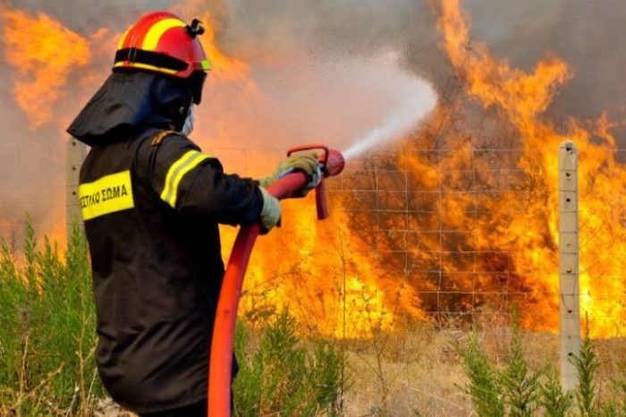 Φωτιές σε Πλατάνα και Πολιτικά.Συνελλήφθη 71χρονος από τα Ψαχνά για εμπρησμό
