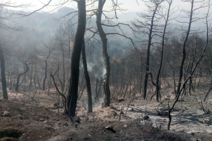Υπό έλεγχο η φωτιά στο Κοντοδεσπότι.«Καμμένη γη» πάνω από 12.000 στρέμματα... (φωτό-video)