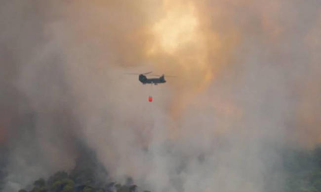 Μεγάλη φωτιά τώρα στην Ηλεία (pics)