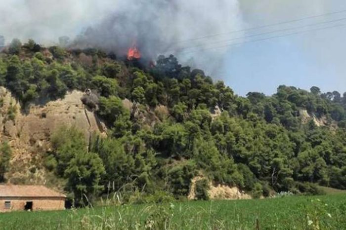 Φωτιά στην Αμαλιάδα: Εκκενώνεται το χωριό Δαφνιώτισσα
