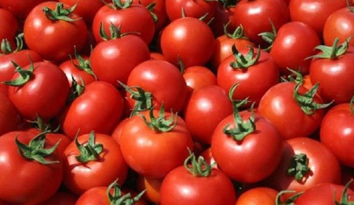 Κατασχέθηκαν 441 κιλά ντομάτες - δηλητήριο
