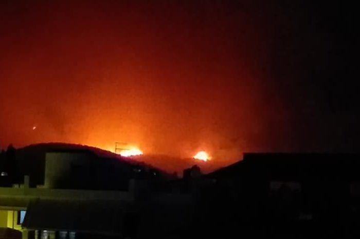Φωτιά στο Καστρί: Κάηκαν 7.000 νεοσσοί 