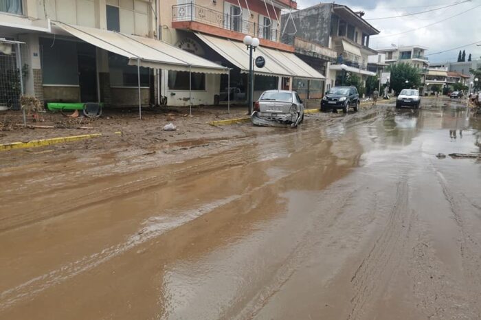 Καταγραφή και εκτίμηση ζημιών που προκλήθηκαν από τις πλημμύρες της 9ης Αυγούστου 2020 στους Δήμους Χαλκιδέων και Διρφύων – Μεσσαπίων και που δεν καλύπτονται ασφαλιστικά από τον ΕΛ.Γ.Α. – Κ.Ο.Ε.