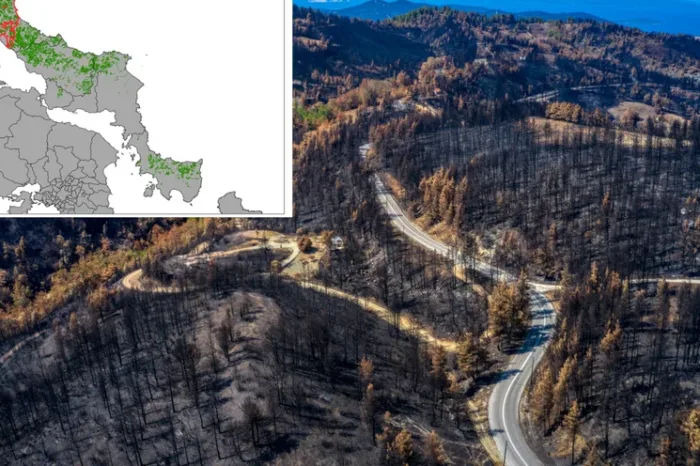 To 1/3 των δασών της Εύβοιας κάηκαν από την πρόσφατη πυρκαγιά