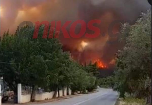 Μεγάλη η νέα φωτιά στα Βίλια – Εκκενώνονται δύο οικισμοί