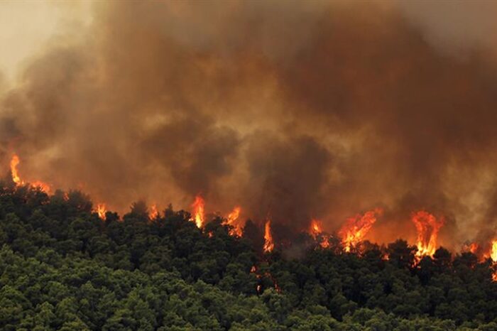 Ανεξέλεγκτη η πυρκαγιά στα Βίλια: Κατευθύνεται προς τα Μέγαρα – Κάηκαν σπίτια και αποθήκες εκτός οικισμών