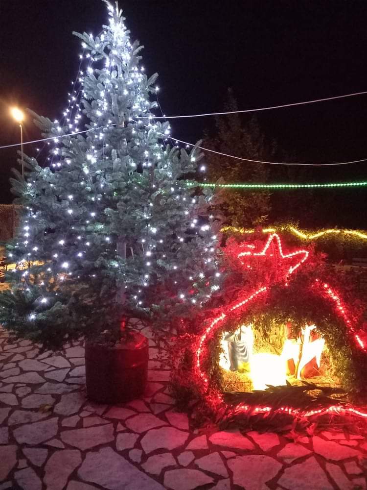 Άναψε το Χριστουγεννιάτικο δένδρο στον Μίστρο (φωτό) received 693264594970825