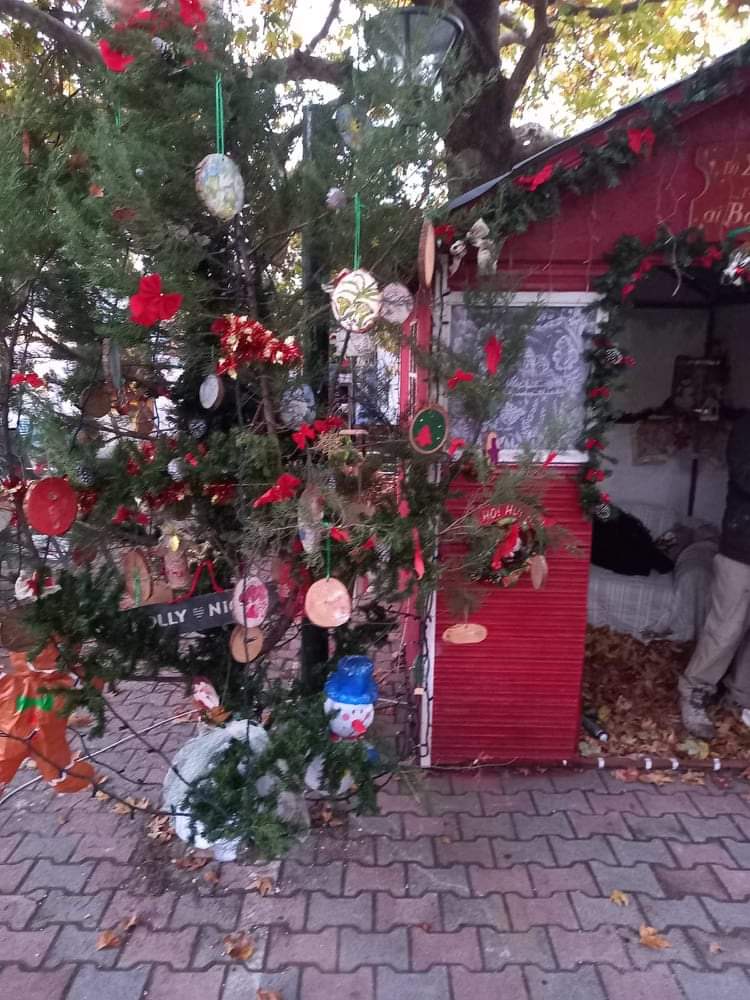 Άναψε το Χριστουγεννιάτικο δένδρο και στα Πολιτικά (φωτό-video) received 453105073138424