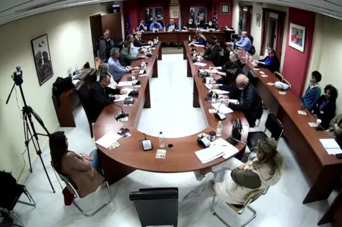 Το  Δημοτικό συμβούλιο του Δήμου Διρφύων Μεσσαπίων σε video