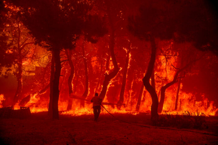 Σώστε τα δάση μας. Τελευταία παράκληση (2)