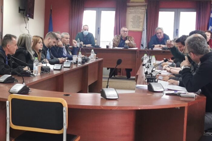 Το Δημοτικό συμβούλιο του Δήμου Διρφύων Μεσσαπίων σε video