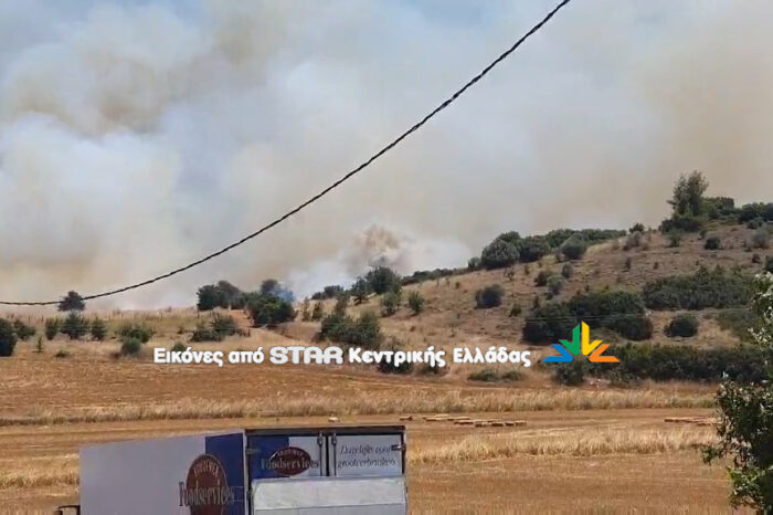 Φωτιά στο Καπαρέλι Θηβών (video)
