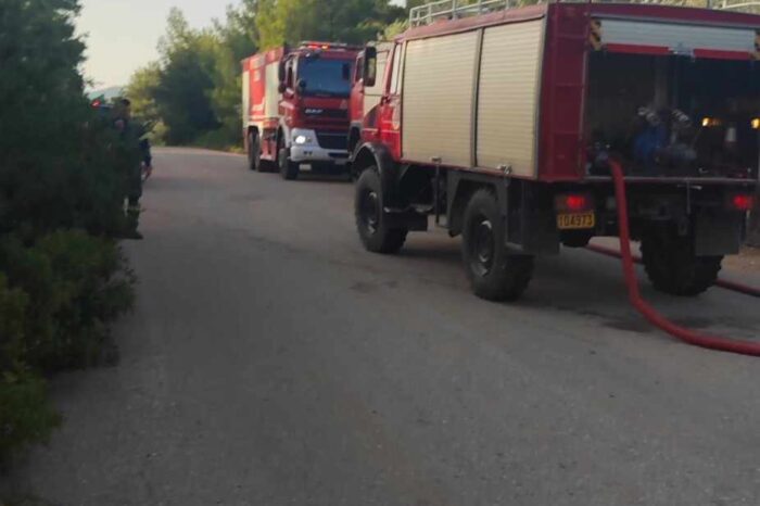 Φωτιά στο Πανόραμα