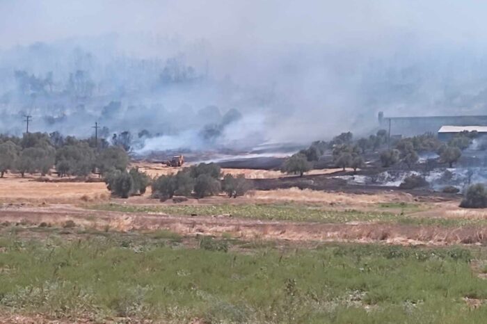 Ψαχνά:Προσήχθη 18χρονος για εμπρησμό