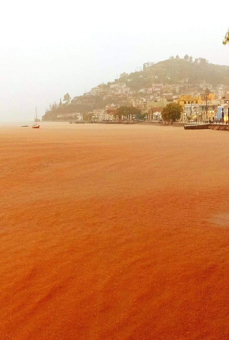 Κακοκαιρία Elias: Η λάσπη έχει φτάσει στη θάλασσα της Λίμνης Ευβοίας – Δείτε φωτογραφίες FB IMG 1695829159676