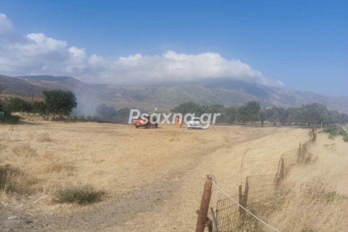 Φωτιά στη Νότια Εύβοια
