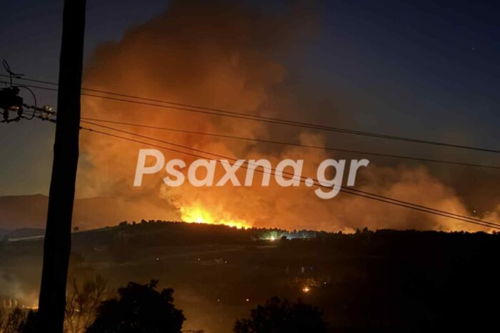 Αφήστε τις φωτιές στους Πυροσβέστες και στους Εθελοντές...