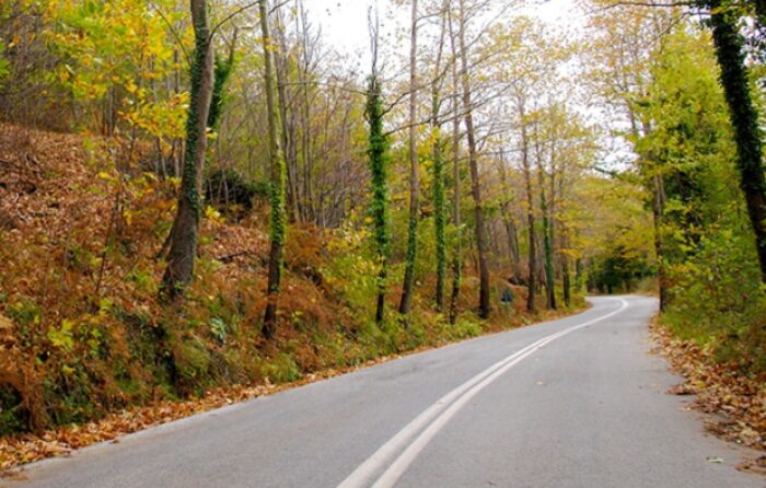 Ξεκινάει ο καθαρισμός του δάσους της εθνικής οδού προς Βόρεια Εύβοια