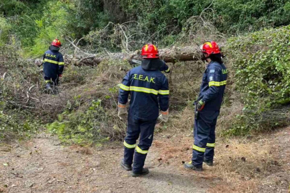 Σπασμένο δέντρο έκοψε την κυκλοφορία σε δασικό δρόμο στη Δάφνη - Άμεση επέμβαση από τους εθελοντές του ΣΕΑΚ Πολιτικών Νεροτριβιάς
