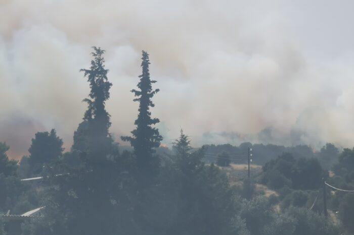 Φωτιά στα Ψαχνά-Επιχειρούν εναέρια μέσα (φωτό-video)