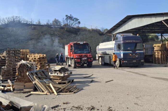 Ψαχνά:Επιχειρήσεις γλύτωσαν στο «παρά πέντε»  από τις φλόγες (φωτό-video)