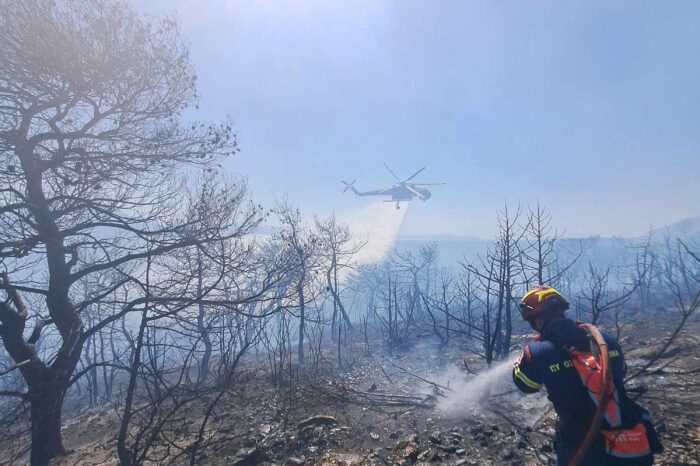 Νέα Αρτάκη: Η μάχη πυροσβεστών και εναέριων μέσων να μην πλησιάσουν οι  φλόγες τα σπίτια (video)