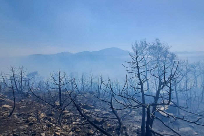 Σώστε ότι έχει απομείνει...