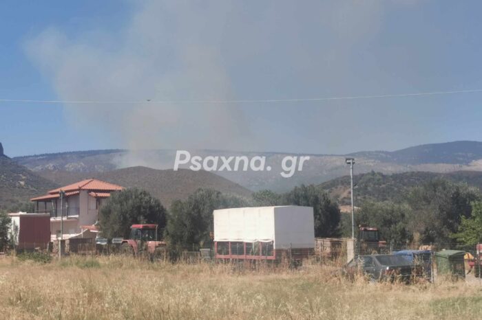 Φωτιά στην Καταβόθρα (video)