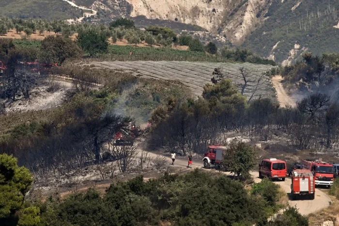 Στιμάγκα Κορινθίας: 37 μήνες φυλάκιση χωρίς αναστολή στον εμπρηστή για τη μεγάλη φωτιά στην περιοχή