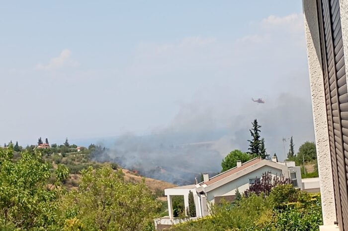 Φωτιά στον Τρίλοφο Θεσσαλονίκης: Ζημιές σε σπίτια