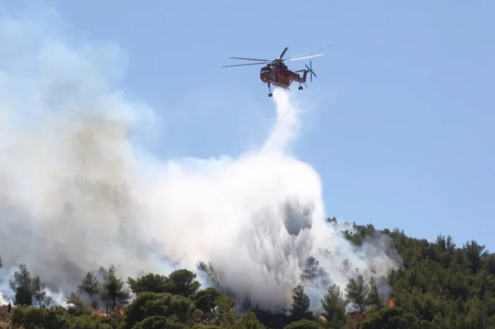 Φωτιά τώρα σε δασική έκταση στη Δάφνη Βοιωτίας