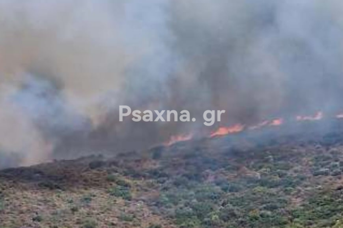 Μεγάλη φωτιά στη Νότια Εύβοια (φωτό-video)