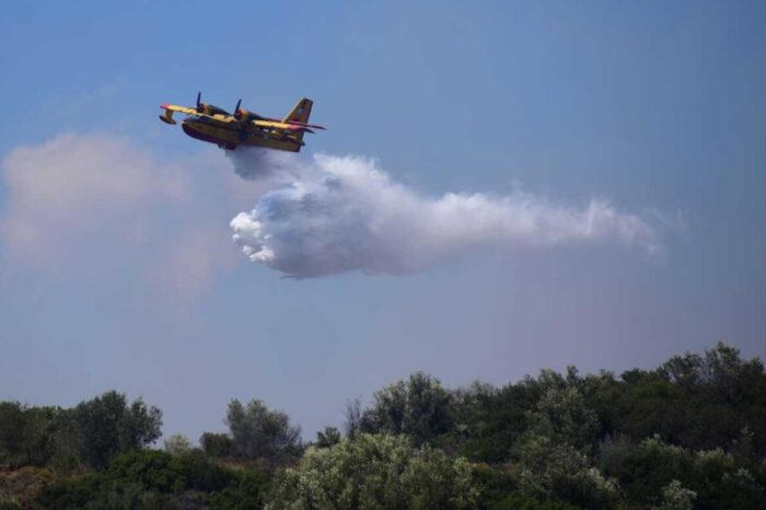 Φωτιά στη Μεσσηνία