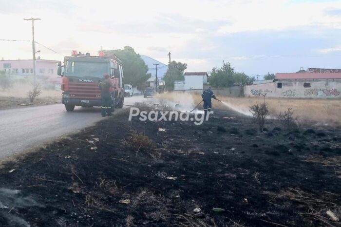 Φωτιά στη Χαραυγή