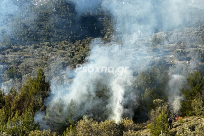 Φωτιά στην Πλατάνα (φωτό - video)