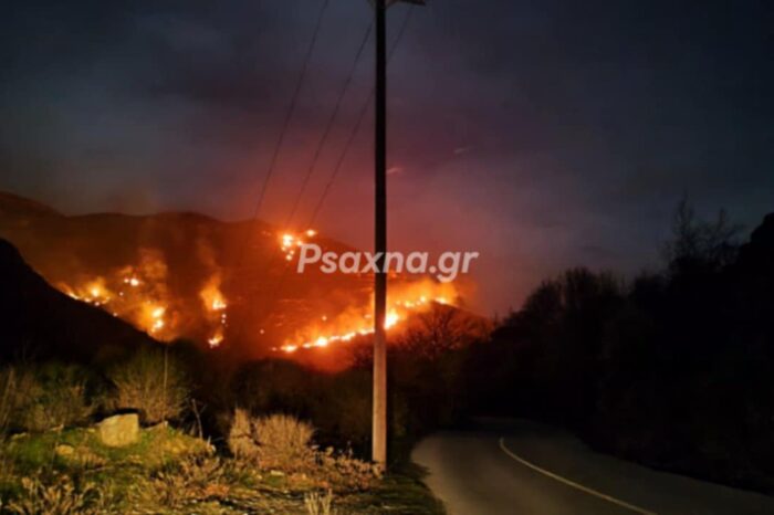 Φωτιά στην Κάρυστο