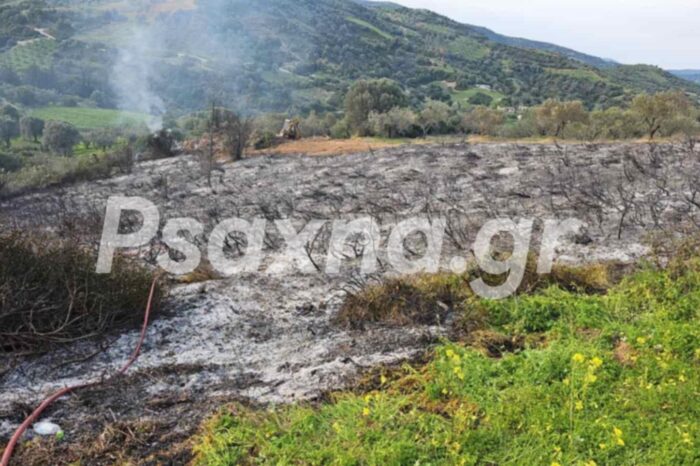 Φωτιά στο Νεοχώρι