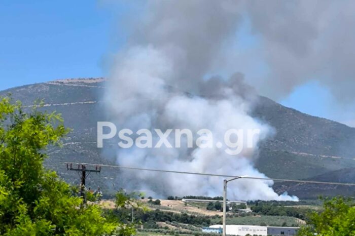Φωτιά στη Ριτσώνα