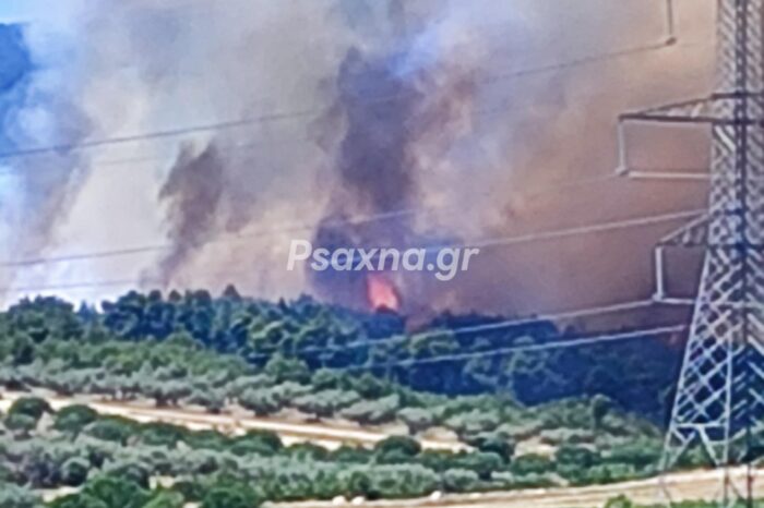 Ριτσώνα: Επιχειρούν εναέρια μέσα και ισχυρές δυνάμεις της Πυροσβεστικής