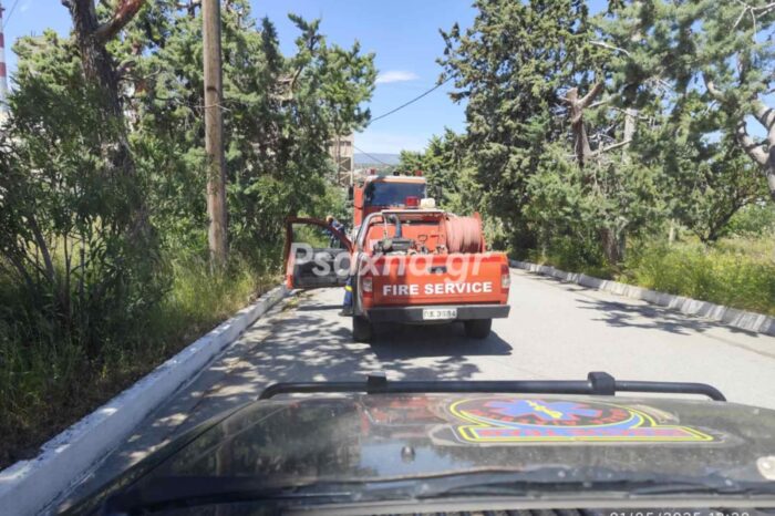 Φωτιά μικρής έκτασης στον ΑΗΣ Αλιβερίου